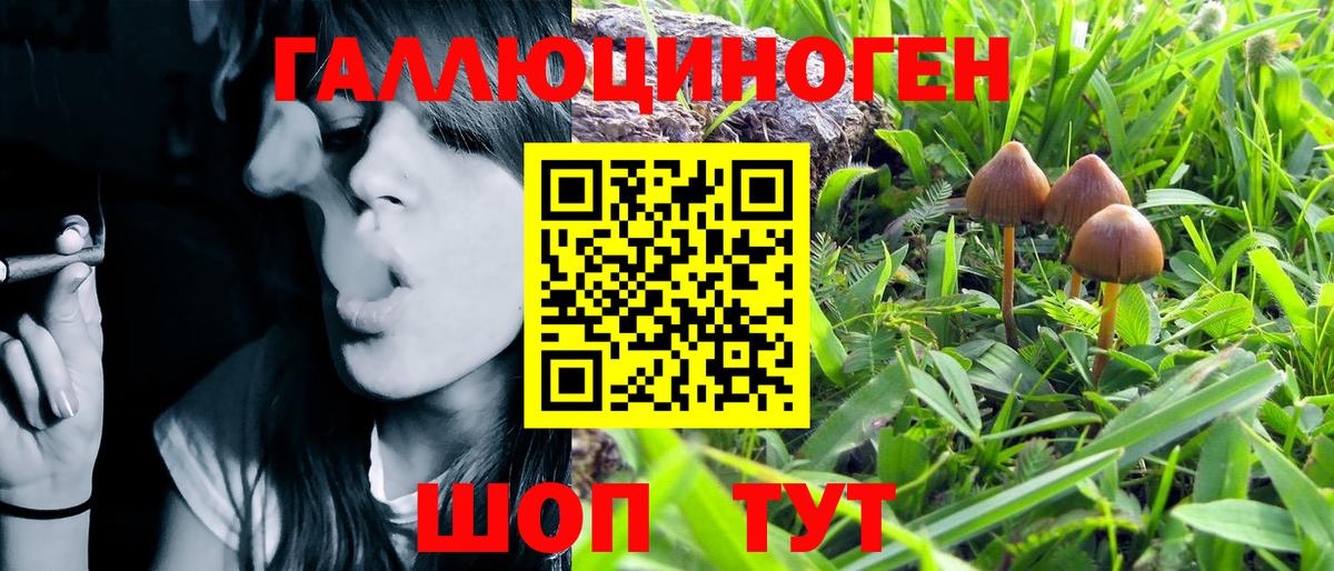 Псилоцибиновые грибы Psilocybe  Вход с VPN  Бугуруслан  Галлюциногенные грибы мухоморы 