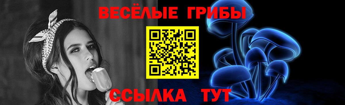 Псилоцибиновые грибы мицелий Бугуруслан